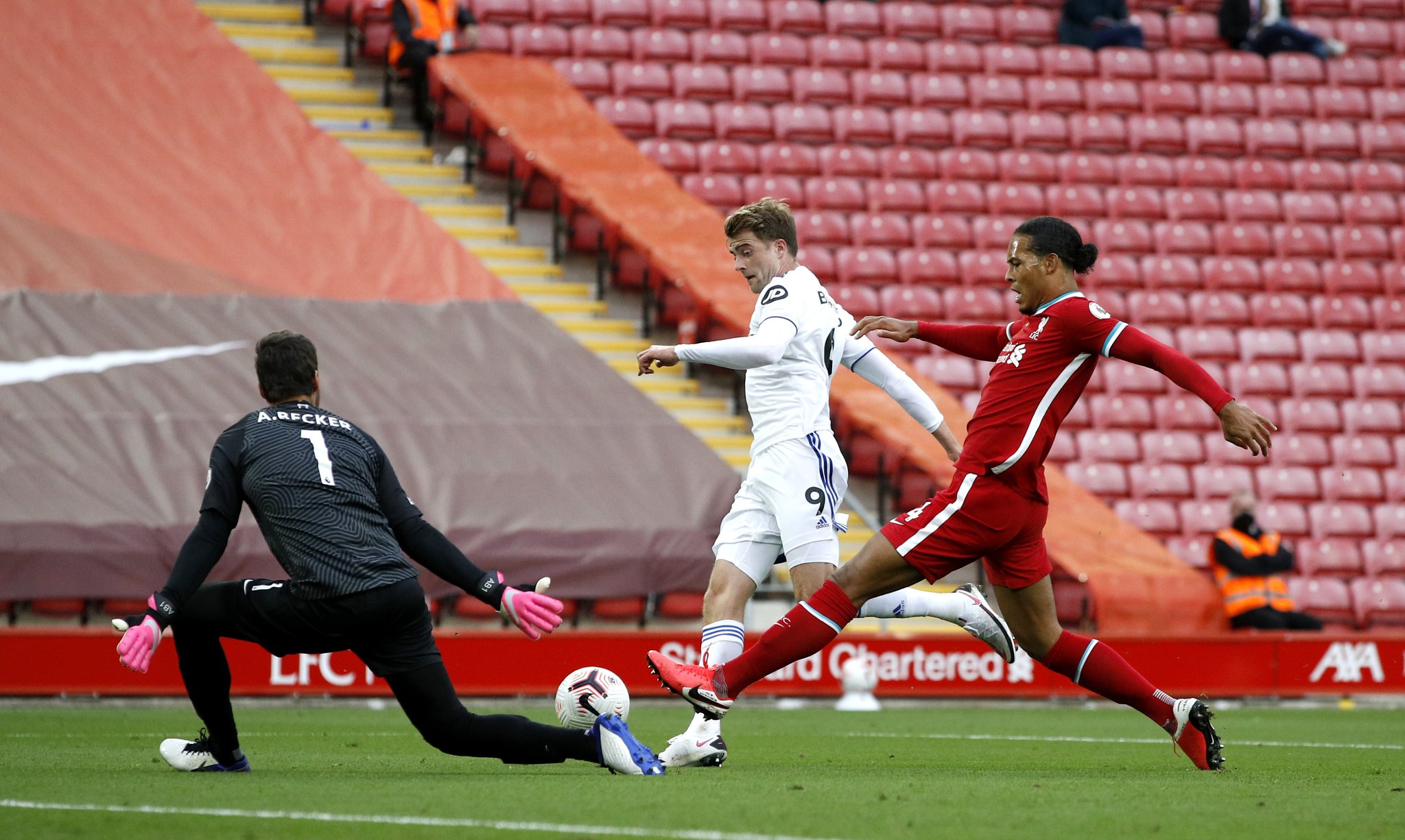 星的成长之 星的成长之